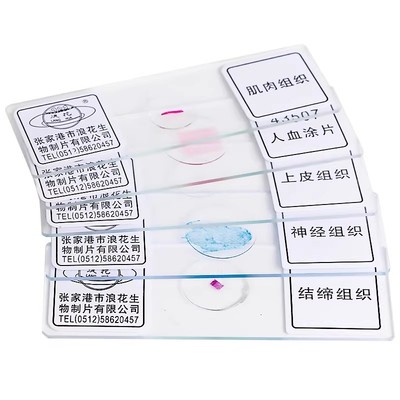 显微镜标本切片生物盖玻片载玻片初中生物实验教具儿童观察动植物细菌胞人血永久涂片神经肌肉结缔上皮组织