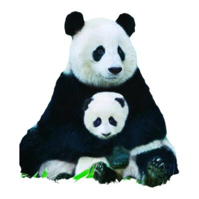 加拿大进口益智拼图现货包邮