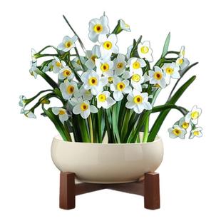 水培盆水仙花家用陶瓷桌面插花器大口径简约复古无孔水培睡莲简约