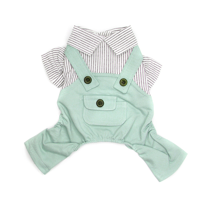 春装雪纳瑞博美小狗狗四脚比熊