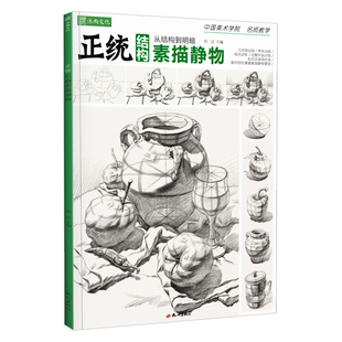 正统结构素描静物蔡兼单体组合石膏几何体临摹范本素材美术写生画册本零基础中考初学入门照片图片高考联考教程书国美教学教材书籍
