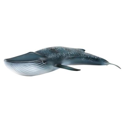 仿真模型海洋生物儿童认知鲸鱼