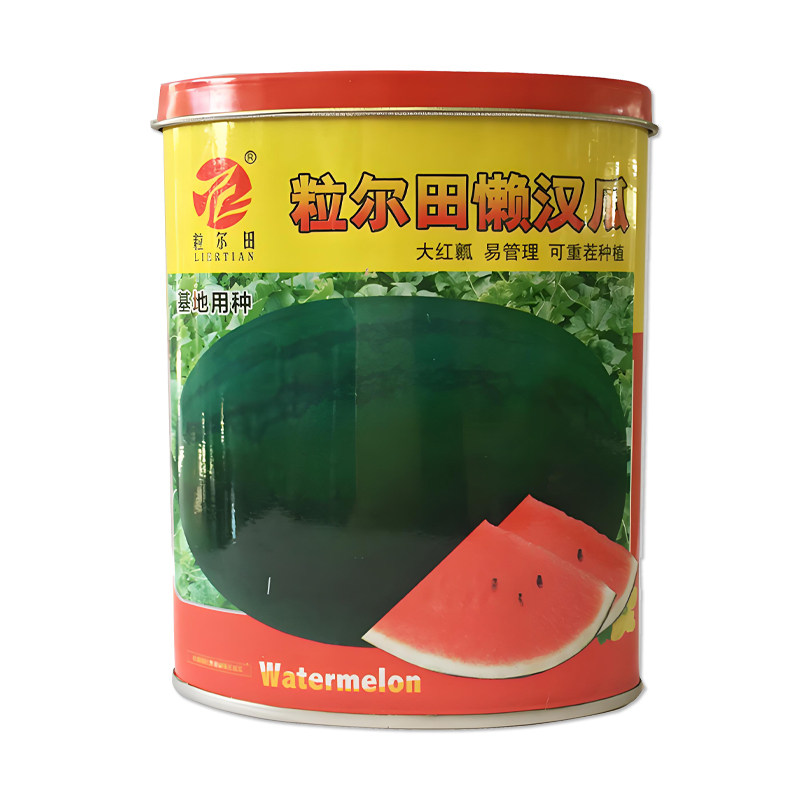 粒尔田懒汉西瓜种子水果种子