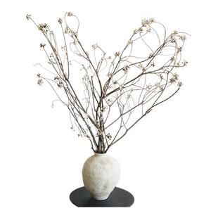 乌桕果小白果天然白果干花民宿插花植物装饰diy干树枝花材永生花