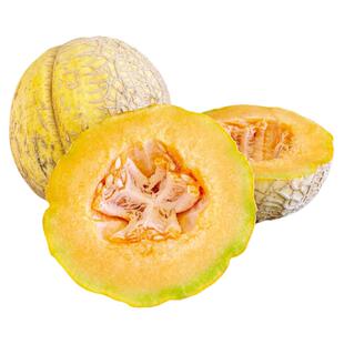 阿米什小甜瓜种子浓郁多汁高产超甜多肉传家宝室内春秋阳台盆栽