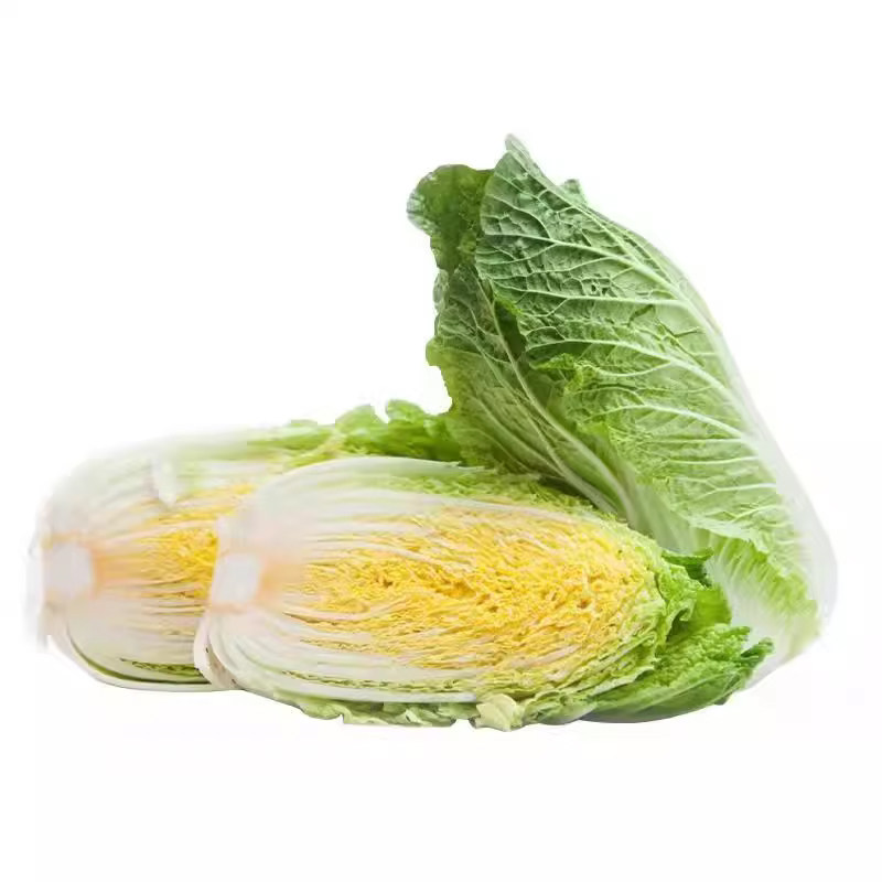 高山娃娃菜种子黄心娃娃菜种籽小蔬菜种子/种苗