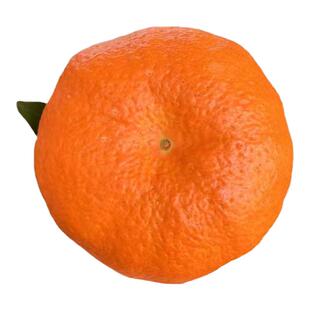 甘平特级大果柑橘橘子现摘新鲜水果桔子四川小金牛稀有水果