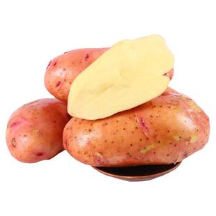 中鲜生云南红皮黄心大土豆合作88号新鲜蔬菜农家洋芋马铃薯包邮