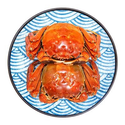 大闸蟹母蟹鲜活阳澄湖镇发货礼盒