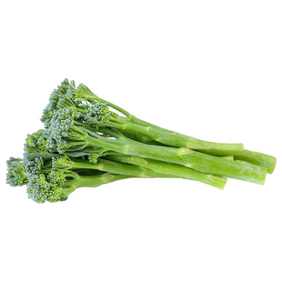 亚非西兰苔种子菜心西兰芦笋青花种籽芥兰芥蓝籽种四季播蔬菜苗孑