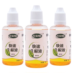 虹越花彩师快速生根液植物通用扦插水培花卉蝴蝶兰强力爆根营养液