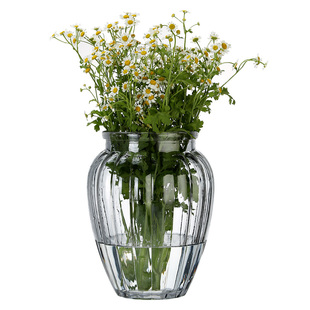 彩色透明胖肚子玻璃花瓶创意清新欧式桌面客厅插干花鲜花水竹家居