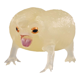 童德仿真爬行动物模型 1:1短头蛙 美洲夜光馒头蛙夜明青蛙玩具