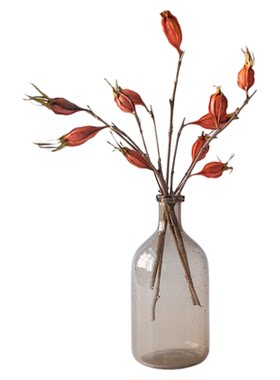 天然栀子果干花束插花装饰摆件