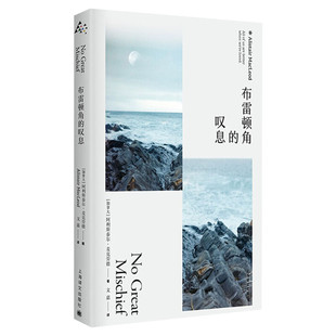 布雷顿角的叹息 阿利斯泰尔·麦克劳德著 文嘉译 都柏林文学奖 海风中失落的血色馈赠当鸟儿带来太阳作者 外国长篇小说书籍正版