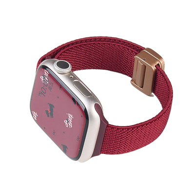 匠戴适用iWatch细款尼龙编织表带