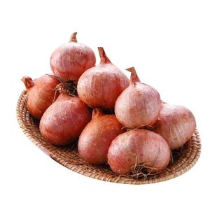 毛葱头毛葱小毛葱小号鲜嫩多汁很辣新鲜5斤鬼子葱小洋葱迷你洋葱