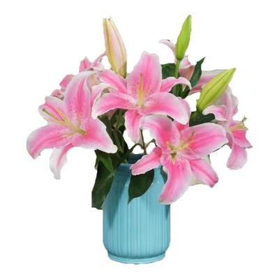 香水百合多头鲜花云南基地现采