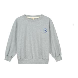 6Z Little现货荷兰gray label FW24儿童限量个性生日数字卫衣