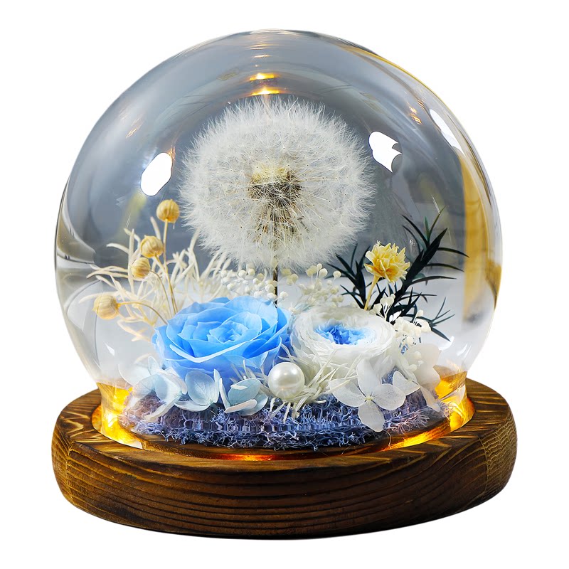蒲公英永生花干花七夕送女生摆件