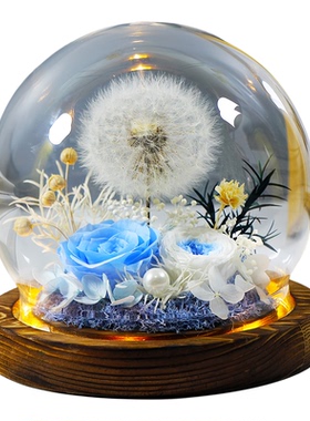 蒲公英永生花干花七夕送女生摆件