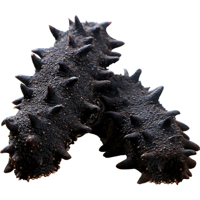 898元一斤！15倍国标辽刺参大连