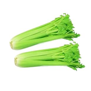 【顺丰/京东】山东大西芹新鲜蔬菜去叶脆嫩榨汁专用芹菜单棵包装