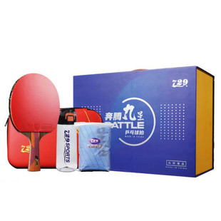 729奔腾9星乒乓球拍7星内置碳素底板奔腾2胶皮胶皮8星级专业单拍