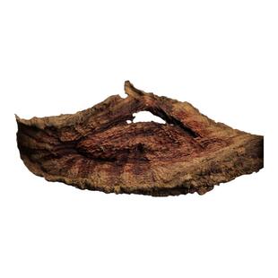 红霍麻荨麻红火麻红活麻老根干品新采干货深山山野生红心材泡酒料