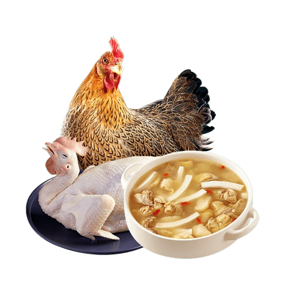 天农清远老母鸡农家整只农家散养