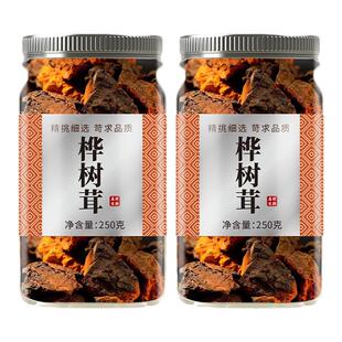 桦树茸俄罗斯进口旗舰店正品长白山野生华树茸煮水茶的功效和作用