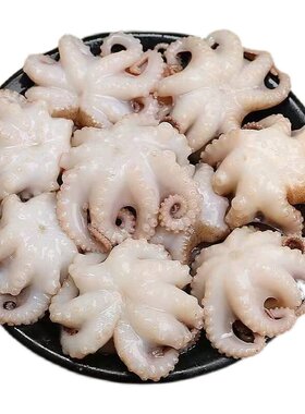 新鲜八爪鱼去内脏免处理顺丰包邮