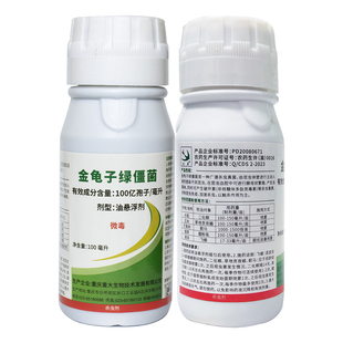 归燕100亿 金龟子绿僵菌 二化螟飞蝗烟粉虱蓟马草地贪夜蛾杀虫剂