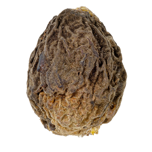 正宗桃枭手串挂件野生天然东南枝毛桃核女士儿童钥匙扣平安扣散珠