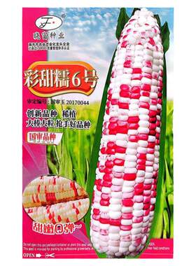 彩甜糯6号玉米种子粘糯好吃