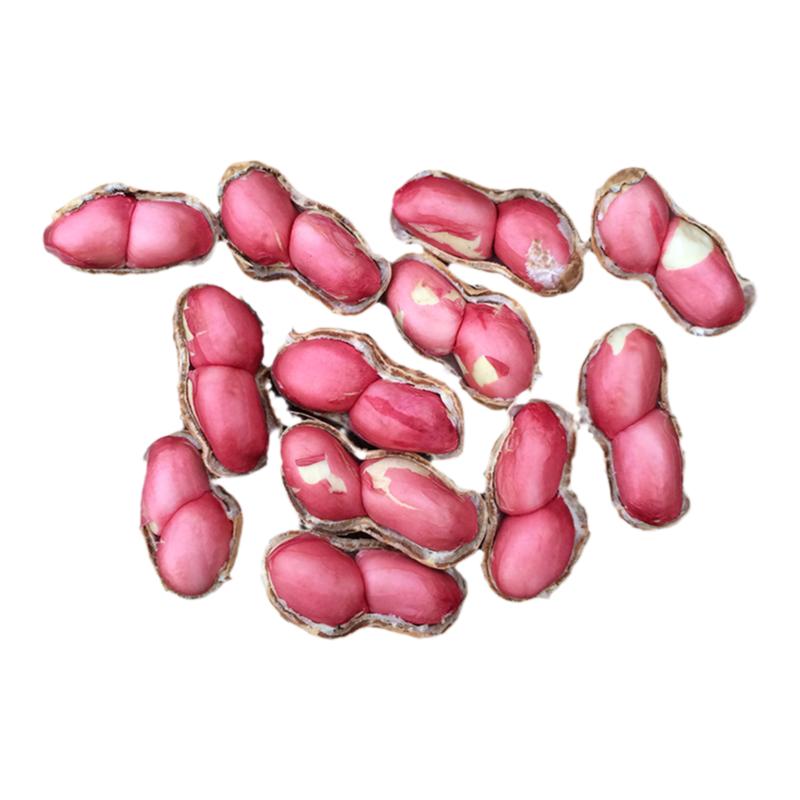 2026新鲜湿花生带壳生花生农家红皮粉皮花生米可水煮花生5斤包邮
