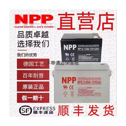 NPP耐普蓄电池NPG12V712243865100120150200AH消防EUPS