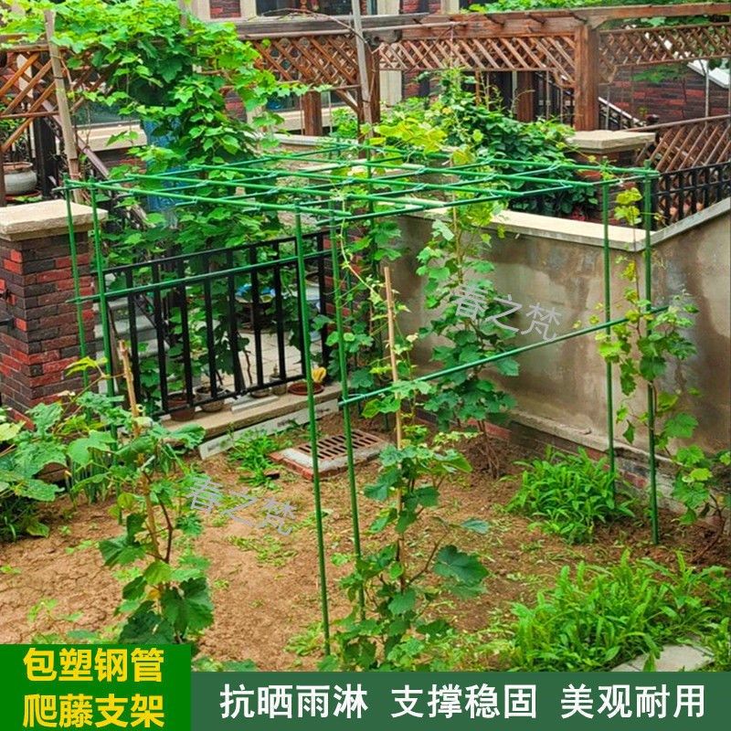 户外庭院葡萄架组装支架百香果苦瓜攀爬架铁艺棚架阳台植物爬藤架