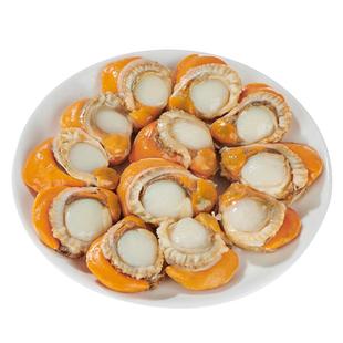 海洋演义北城红贝20-40扇贝肉当季带黄带膏200g*8包