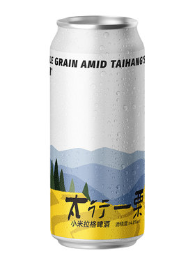 野鹅微醺国产浑浊精酿啤酒