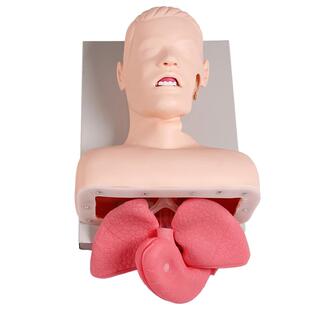 医训高级人体气管插管训练模型成人新生儿婴儿童气管插管口鼻腔气道急救操作教学演示模拟人急救训练教学模具