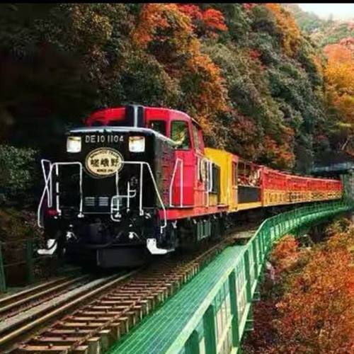 网红有轨小火车户外景区观光火车田园骑跨无动力生态农场游乐设备