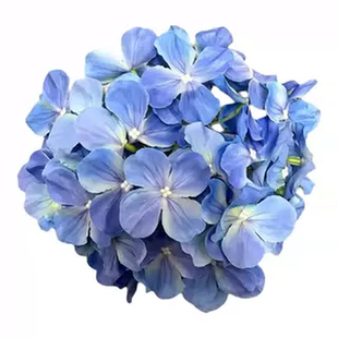 仿真花绣球花假花装饰花花束搭配婚庆酒店各种颜色3D绣球批发