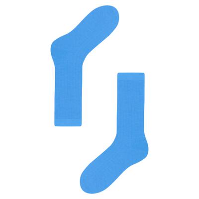 【吴千语同款】AR桑蚕丝莫代尔中筒袜2026年春夏薄款蓝色袜子女