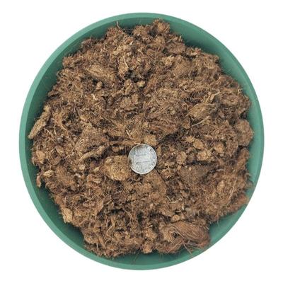 无污染同意拉脱维亚发发得