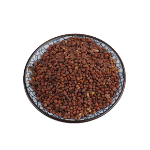 中药材 莱菔子 炒莱菔子 萝卜籽 白萝卜紫 莱菔籽 500g 打粉包邮