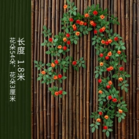 Victoria Buds Cane Orange