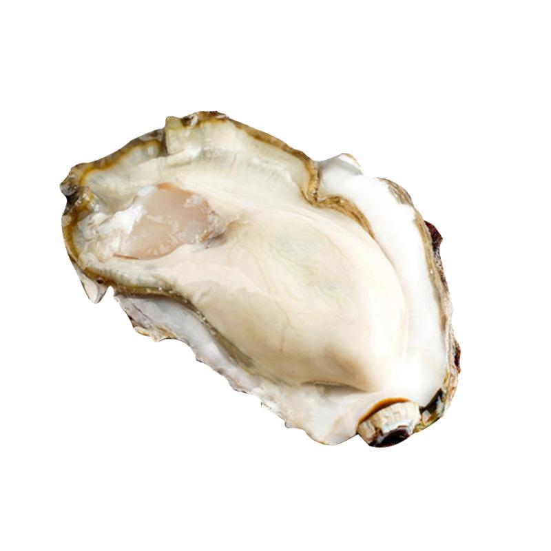 惠蚝乳山生蚝鲜活海蛎子牡蛎海鲜水产带箱5斤鲜活到家顺丰包邮