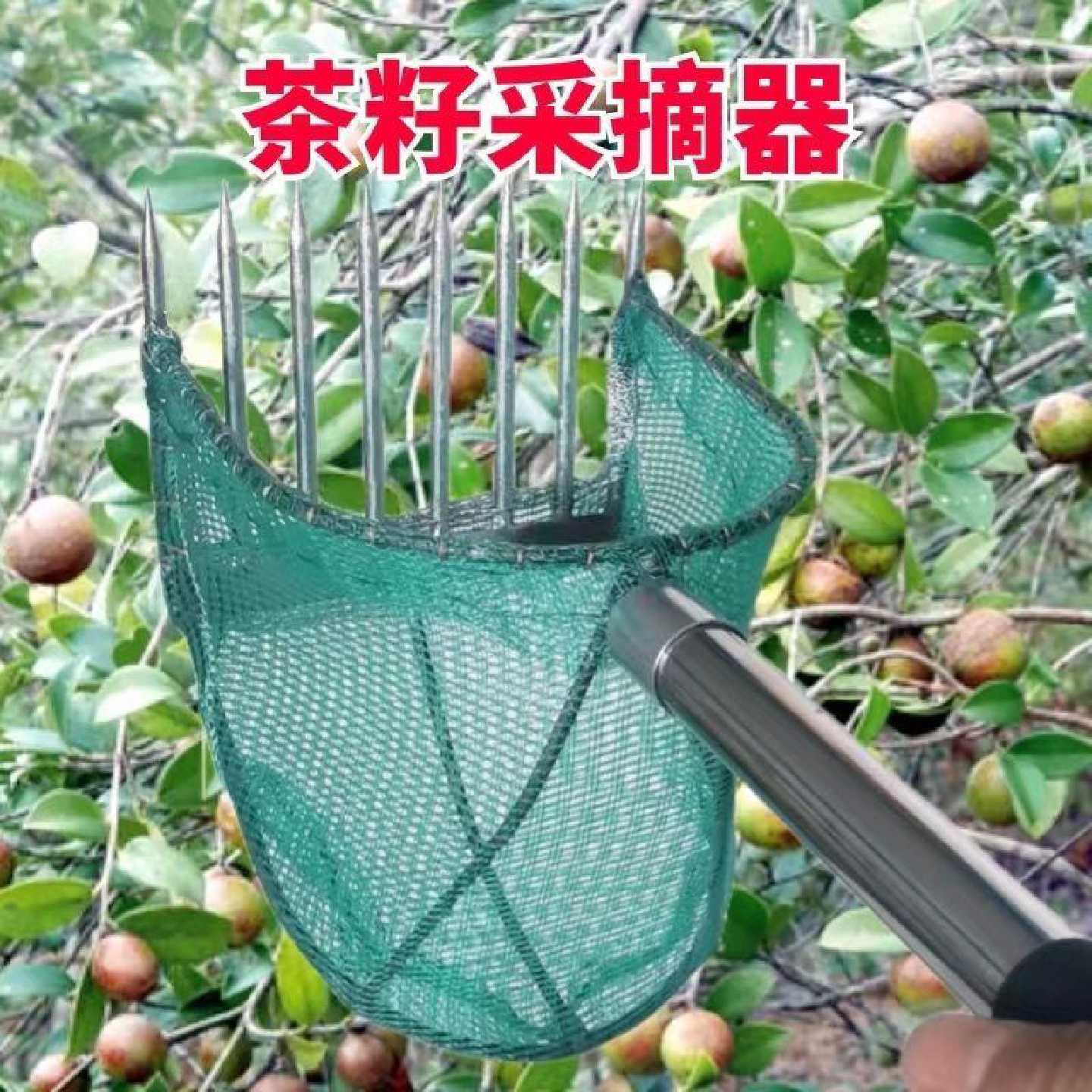 摘果神器伸缩摘茶树籽油茶果高空采摘板栗核桃山渣摘果器