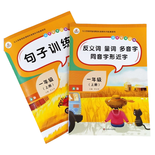 全2册一年级上册语文专项训练 句子训练 小学生近义词反义词大全 量词多音字同音字组词造句阅读小学一年级人教版同步练习词语手册
